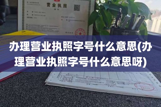 办理营业执照字号什么意思(办理营业执照字号什么意思呀)