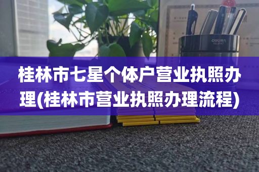 桂林市七星个体户营业执照办理(桂林市营业执照办理流程)