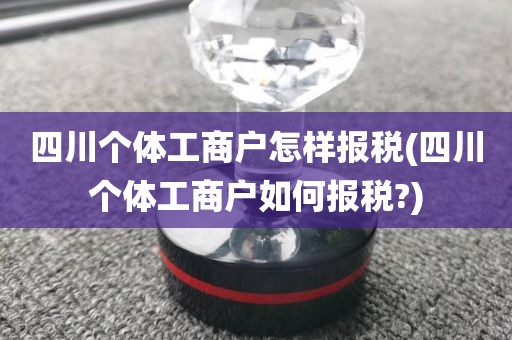 四川个体工商户怎样报税(四川个体工商户如何报税?)