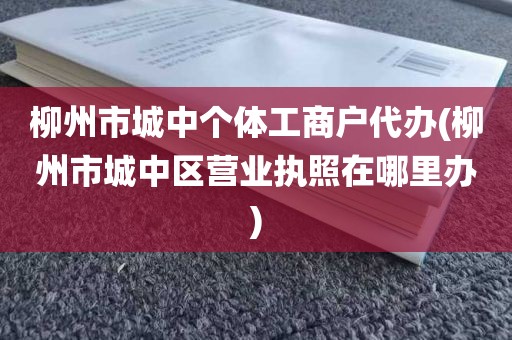 柳州市城中个体工商户代办(柳州市城中区营业执照在哪里办)