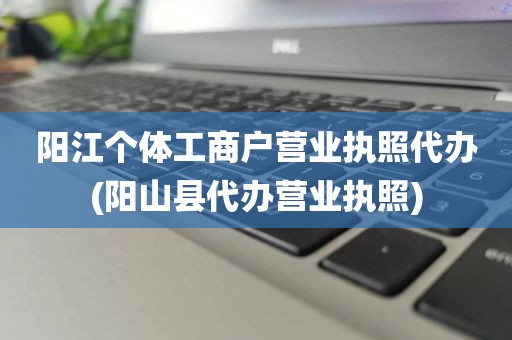 阳江个体工商户营业执照代办(阳山县代办营业执照)