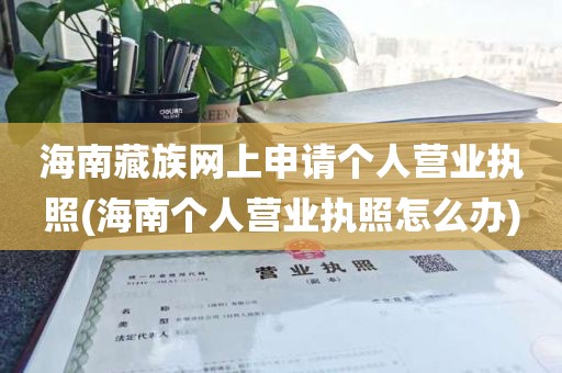 海南藏族网上申请个人营业执照(海南个人营业执照怎么办)