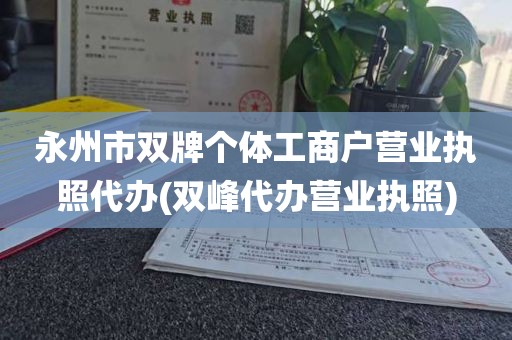 永州市双牌个体工商户营业执照代办(双峰代办营业执照)