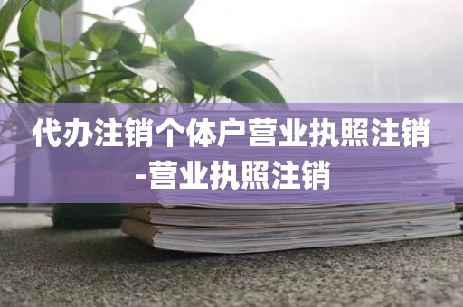 代办注销个体户营业执照注销-营业执照注销