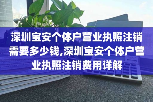 深圳宝安个体户营业执照注销需要多少钱,深圳宝安个体户营业执照注销费用详解
