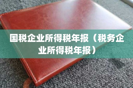 国税企业所得税年报（税务企业所得税年报）