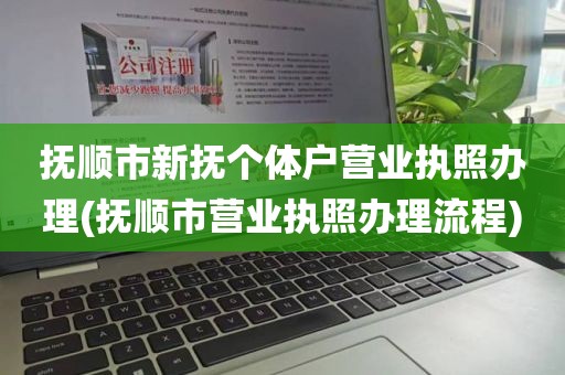 抚顺市新抚个体户营业执照办理(抚顺市营业执照办理流程)
