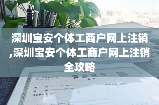 深圳宝安个体工商户网上注销,深圳宝安个体工商户网上注销全攻略