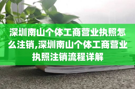 深圳南山个体工商营业执照怎么注销,深圳南山个体工商营业执照注销流程详解