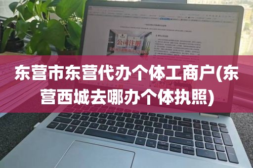 东营市东营代办个体工商户(东营西城去哪办个体执照)
