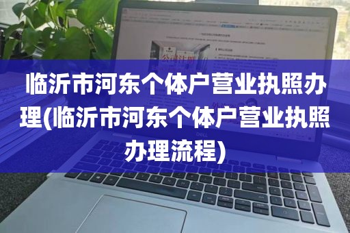 临沂市河东个体户营业执照办理(临沂市河东个体户营业执照办理流程)