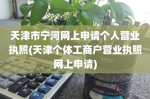 天津市宁河网上申请个人营业执照(天津个体工商户营业执照网上申请)