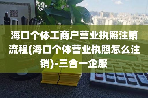 海口个体工商户营业执照注销流程(海口个体营业执照怎么注销)-三合一企服