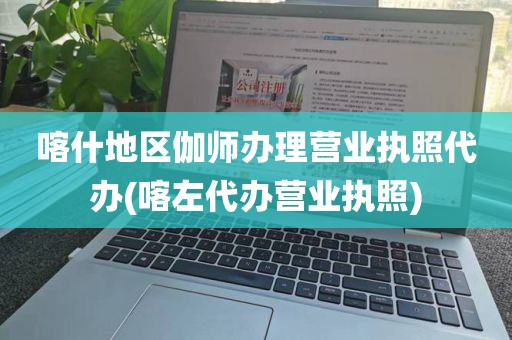 喀什地区伽师办理营业执照代办(喀左代办营业执照)