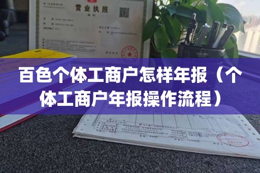 百色个体工商户怎样年报（个体工商户年报操作流程）