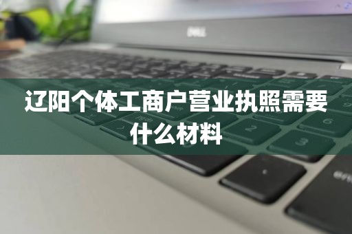 辽阳个体工商户营业执照需要什么材料