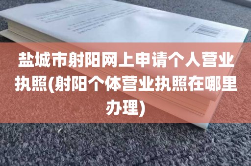 盐城市射阳网上申请个人营业执照(射阳个体营业执照在哪里办理)