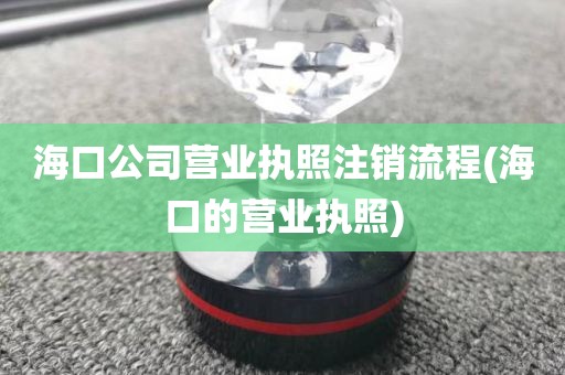 海口公司营业执照注销流程(海口的营业执照)