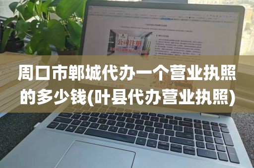 周口市郸城代办一个营业执照的多少钱(叶县代办营业执照)
