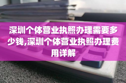 深圳个体营业执照办理需要多少钱,深圳个体营业执照办理费用详解