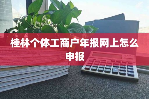桂林个体工商户年报网上怎么申报