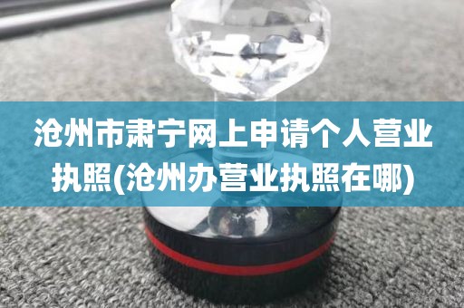 沧州市肃宁网上申请个人营业执照(沧州办营业执照在哪)