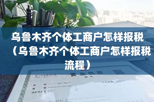 乌鲁木齐个体工商户怎样报税（乌鲁木齐个体工商户怎样报税流程）