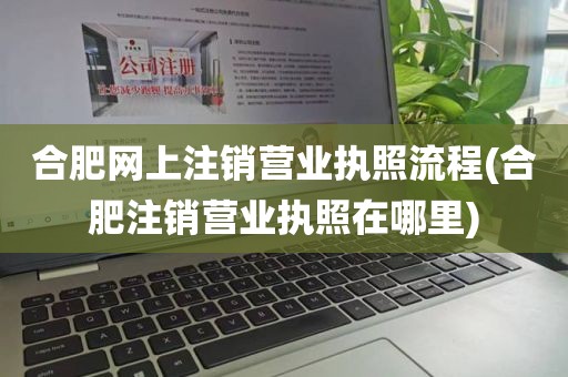 合肥网上注销营业执照流程(合肥注销营业执照在哪里)