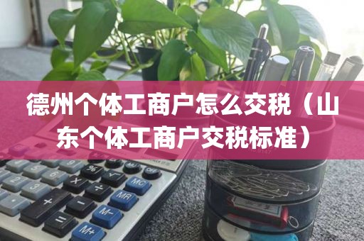 德州个体工商户怎么交税（山东个体工商户交税标准）