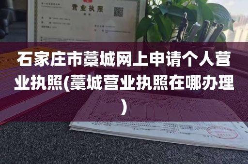 石家庄市藁城网上申请个人营业执照(藁城营业执照在哪办理)