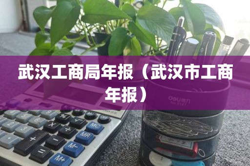 武汉工商局年报（武汉市工商年报）