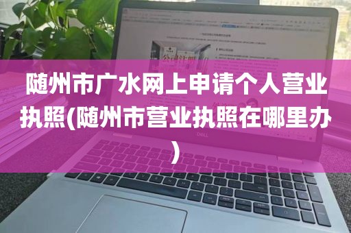 随州市广水网上申请个人营业执照(随州市营业执照在哪里办)