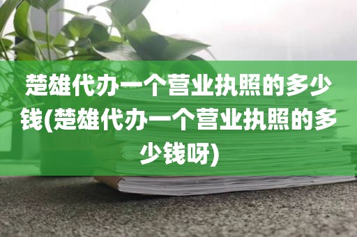 楚雄代办一个营业执照的多少钱(楚雄代办一个营业执照的多少钱呀)