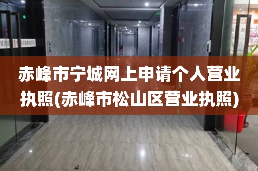 赤峰市宁城网上申请个人营业执照(赤峰市松山区营业执照)