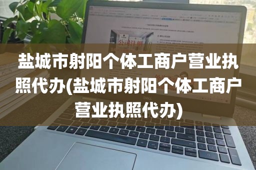 盐城市射阳个体工商户营业执照代办(盐城市射阳个体工商户营业执照代办)