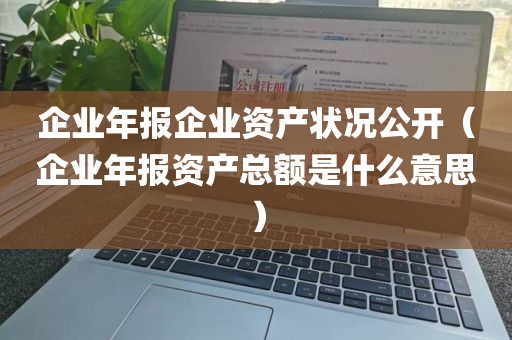 企业年报企业资产状况公开（企业年报资产总额是什么意思）