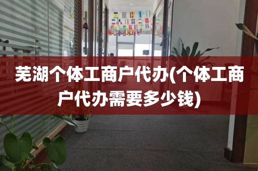 芜湖个体工商户代办(个体工商户代办需要多少钱)