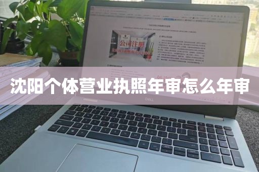 沈阳个体营业执照年审怎么年审