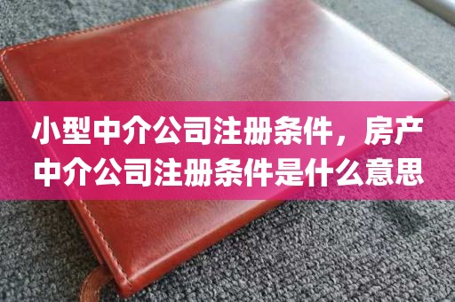 小型中介公司注册条件，房产中介公司注册条件是什么意思