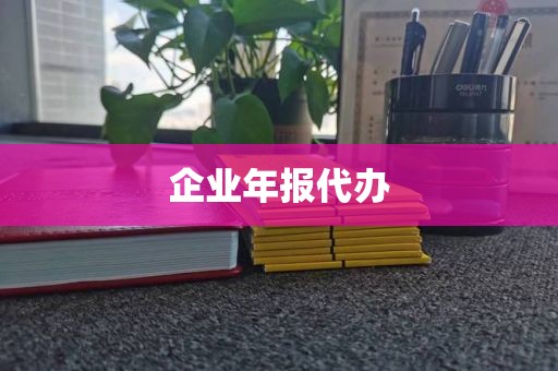 企业年报代办