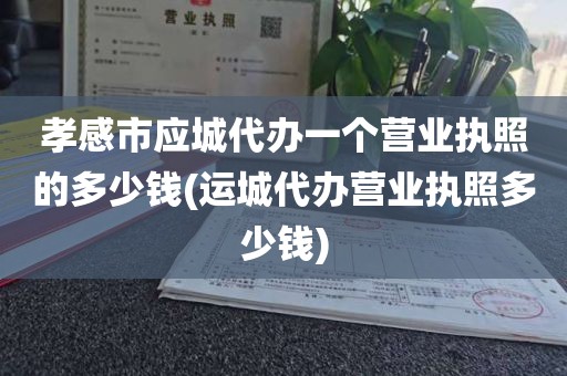 孝感市应城代办一个营业执照的多少钱(运城代办营业执照多少钱)
