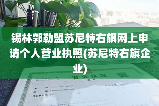 锡林郭勒盟苏尼特右旗网上申请个人营业执照(苏尼特右旗企业)