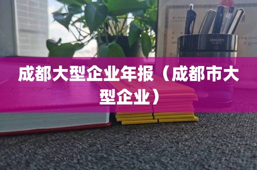 成都大型企业年报（成都市大型企业）