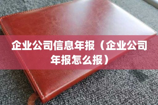 企业公司信息年报（企业公司年报怎么报）