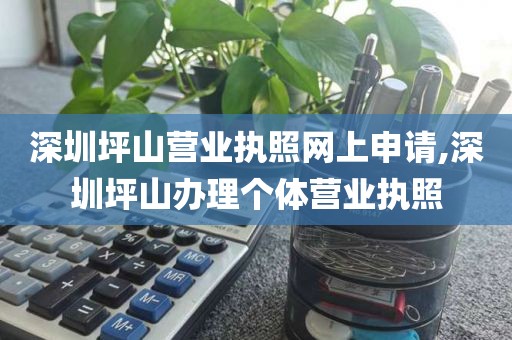 深圳坪山营业执照网上申请,深圳坪山办理个体营业执照