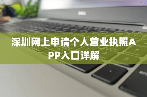 深圳网上申请个人营业执照APP入口详解