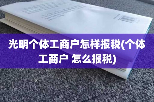 光明个体工商户怎样报税(个体工商户 怎么报税)