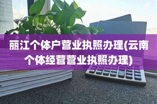 丽江个体户营业执照办理(云南个体经营营业执照办理)