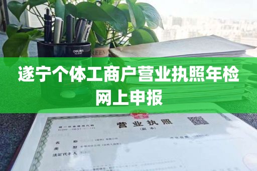 遂宁个体工商户营业执照年检网上申报