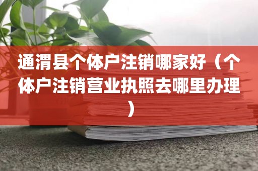通渭县个体户注销哪家好（个体户注销营业执照去哪里办理）